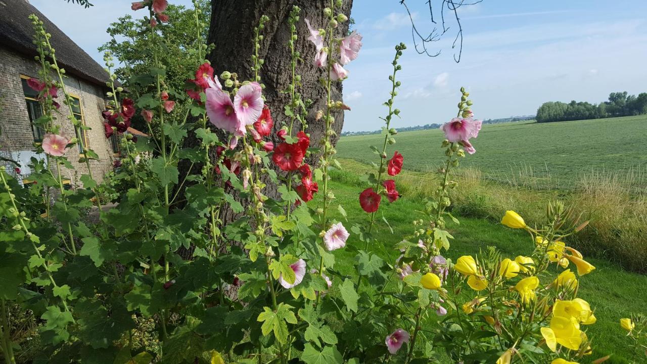 B&B Rechthuis Van Zouteveen Schipluiden Extérieur photo